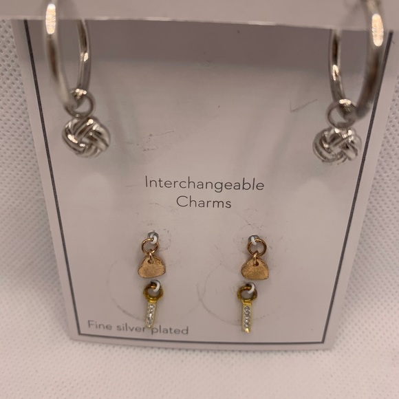Gold and Silver Interchangeable Earrings Set with Charms - Picture 7 of 8